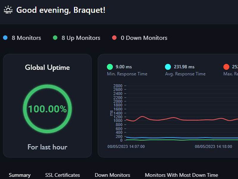 Outil de monitoring site web : pour surveiller la performance de votre site en temps réel